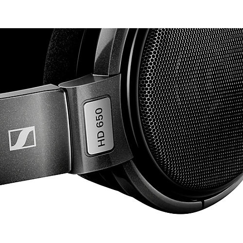 Sennheiser HD 650 Open-Air Pro Headphones