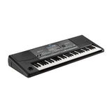 Korg PA600 61-Keys Professional Arranger Keyboard With MicroSD Card, Indian Sounds & Styles