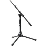 Audix D6 Kick Drum Mic with Cable and Stand