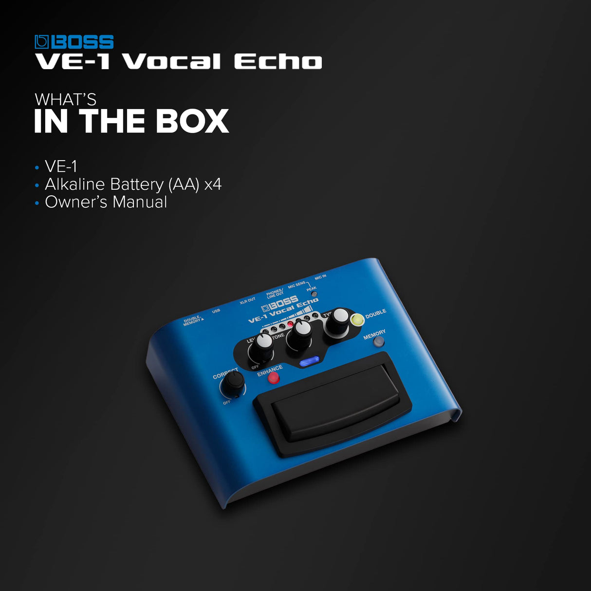 BOSS VE-1 VOCAL ECHO PROCESSOR