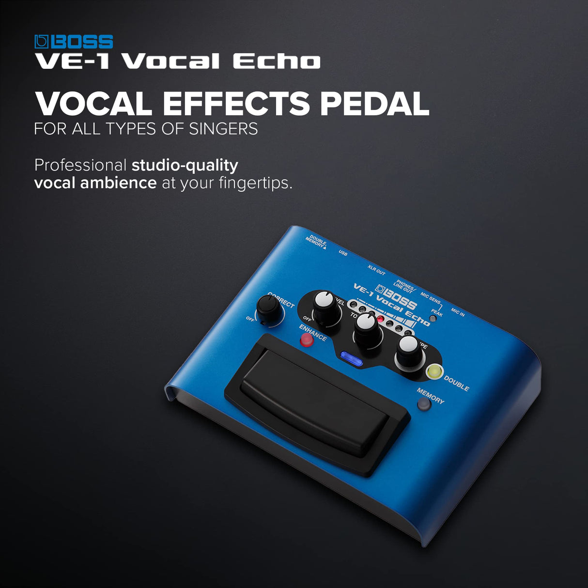 BOSS VE-1 VOCAL ECHO PROCESSOR