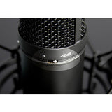 TASCAM TM-280 Large-Diaphragm Condenser Microphone