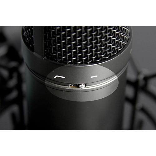 TASCAM TM-280 Large-Diaphragm Condenser Microphone