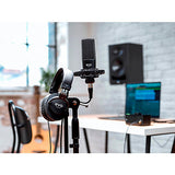 Audient EVO Start Recording Bundle With USB Audio Interface, Headphones, Mic, Shockmount and Mic Cable