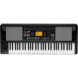 KORG EK-50 CSA 61-Key Arranger Keyboard