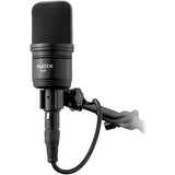 Audix Pair of Audix A131 Large-diaphragm Condenser Microphone