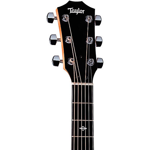 Taylor 224ce-K Deluxe Special Edition Grand Auditorium Acoustic-Electric Guitar Natural