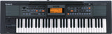 ROLAND E09IN INDIAN EDITION KEYBOARD