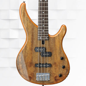 Bass Guitars